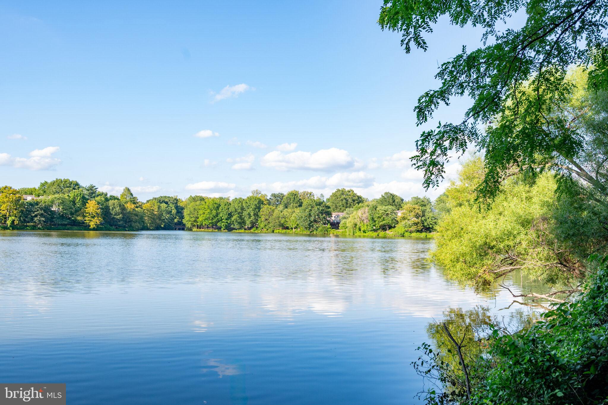 2910 PINE SPRING ROAD