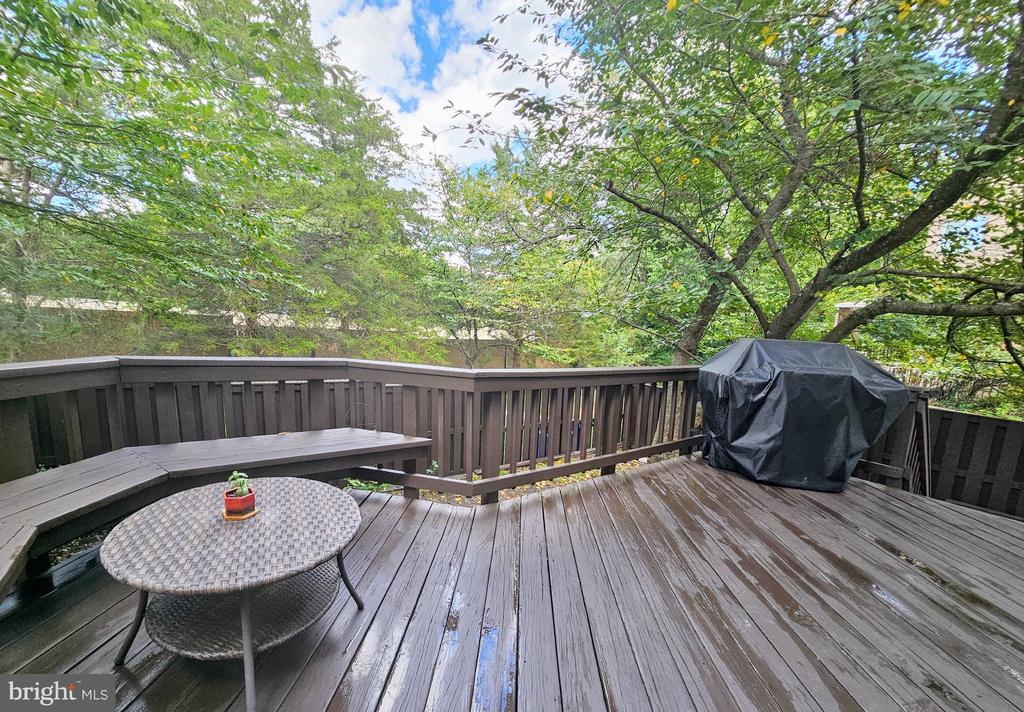 1074 TREVINO LANE