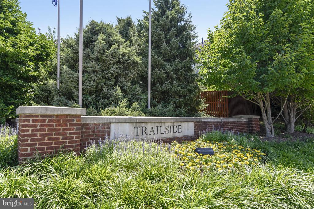 45482 PINE TRAIL TERRACE