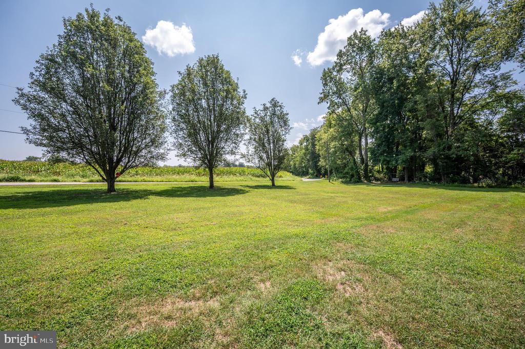 103 Camp Selden Rd