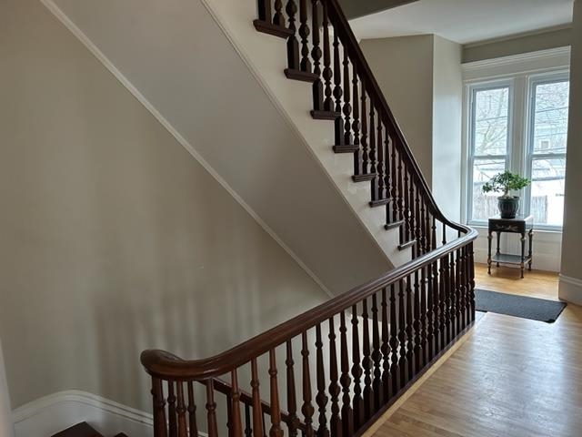 313 Bridge Street Unit: 3