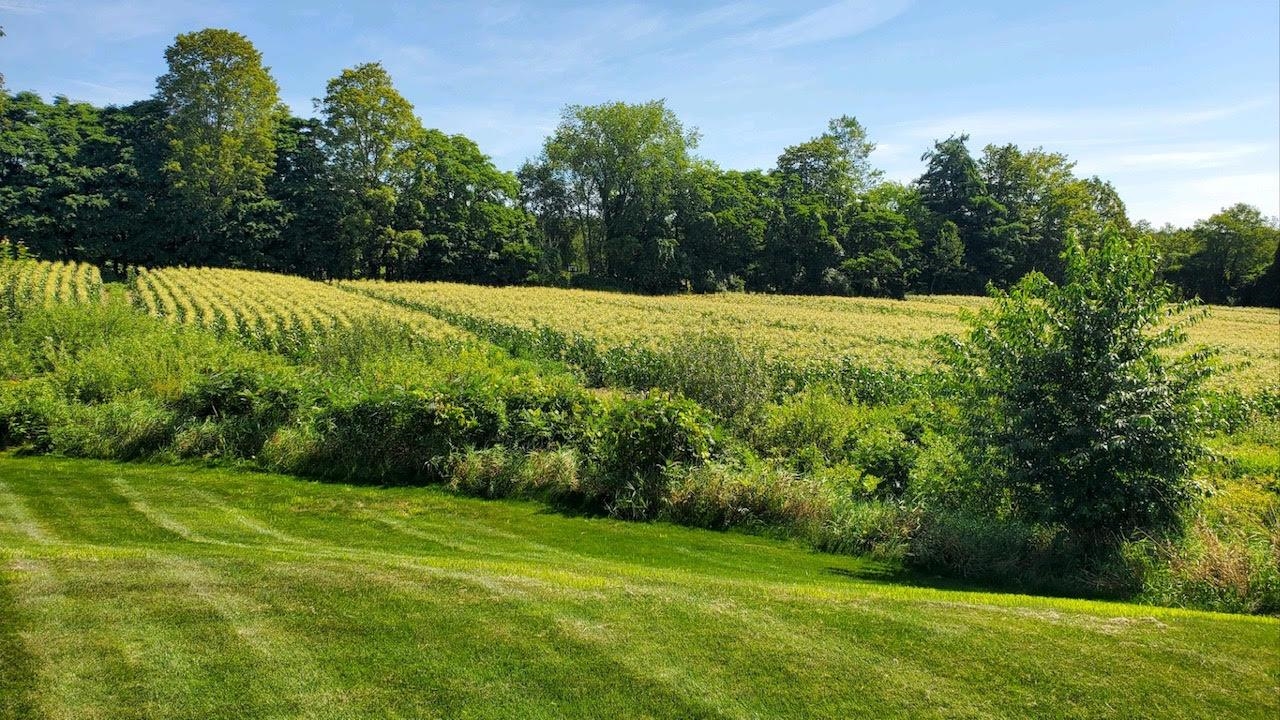 213 Silver Lake Road