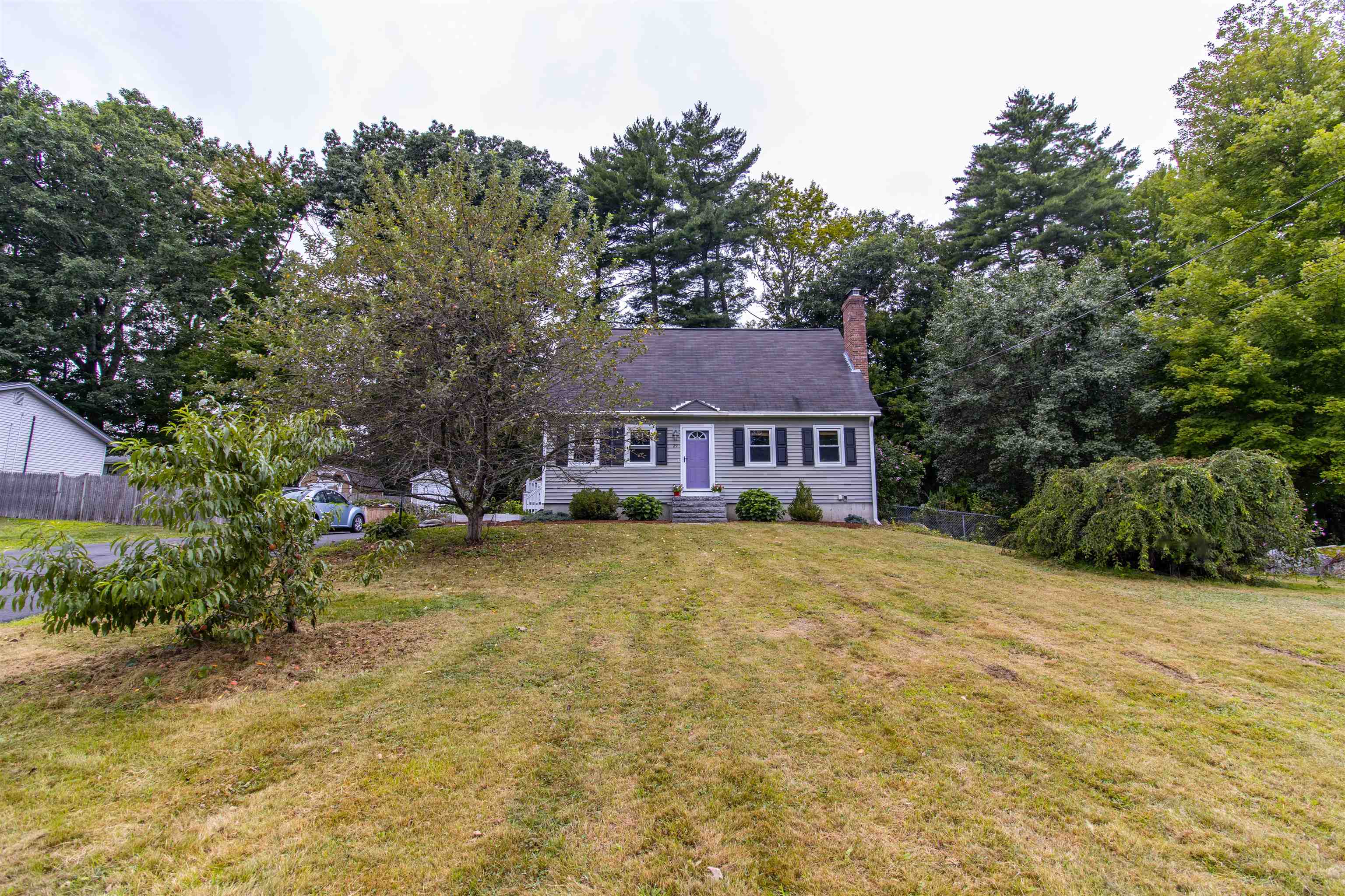 29 Alpine Street