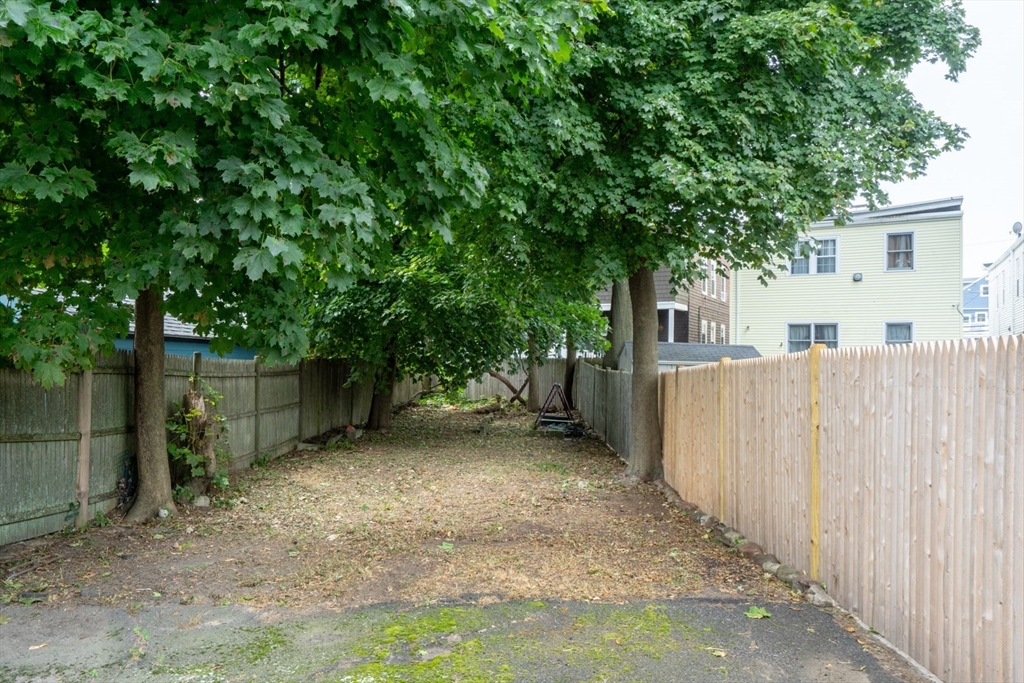 20 Taylor St