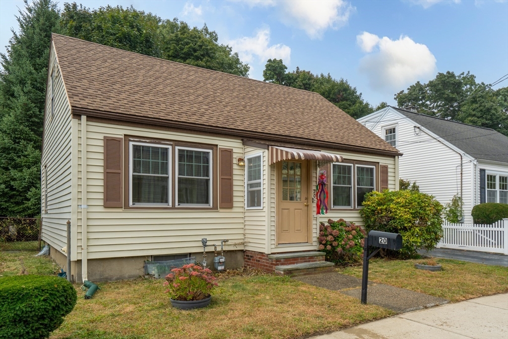 20 Taylor St