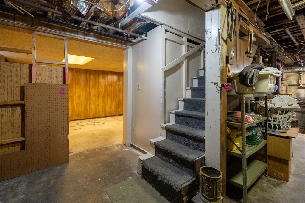 20 Taylor St