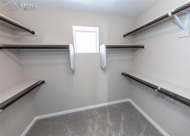 11242 Modern Meadow Loop