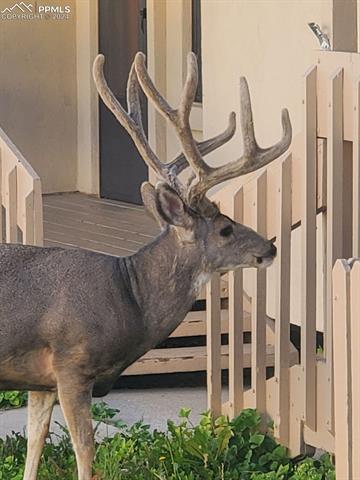 2131 Mount Washington Avenue