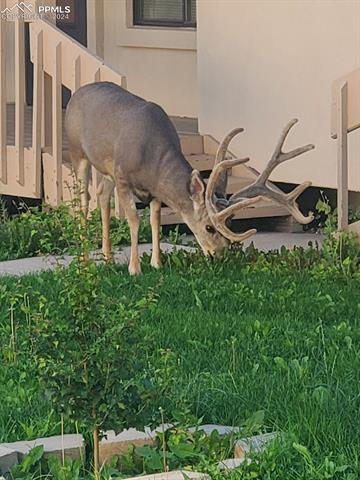 2131 Mount Washington Avenue