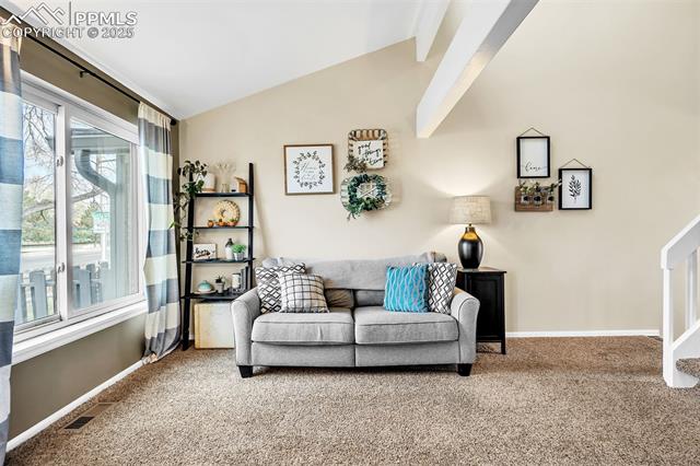 4807 Bluestem Drive