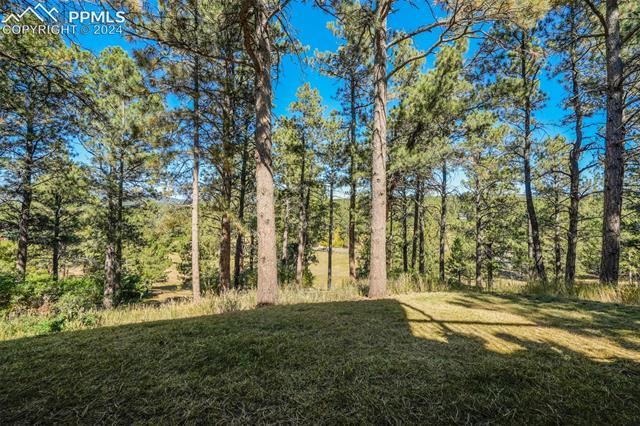 1306 Meadowlake Way