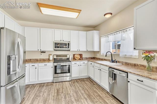 3564 Bucking Bronco Court