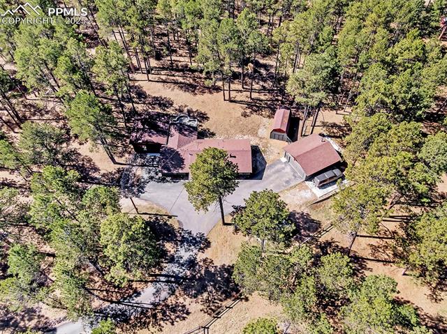 9635 Thoroughbred Lane