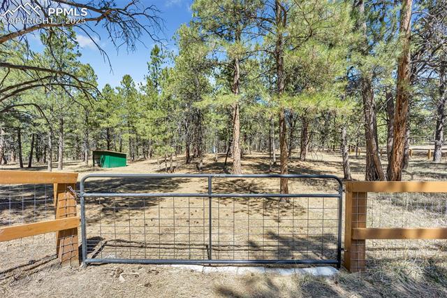 9635 Thoroughbred Lane