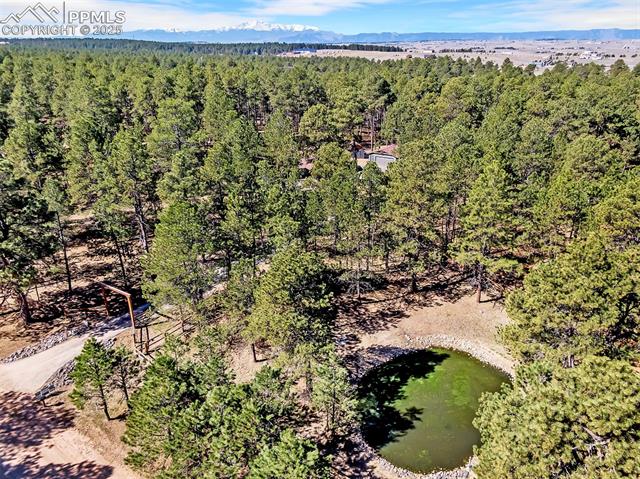 9635 Thoroughbred Lane