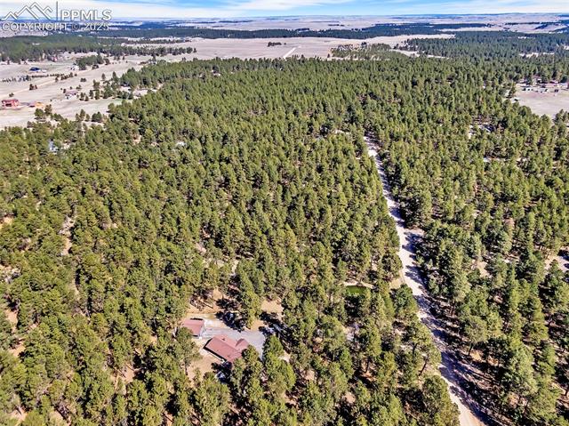 9635 Thoroughbred Lane