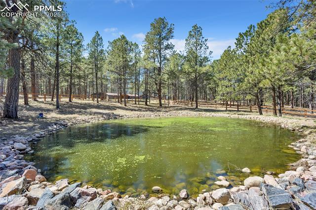 9635 Thoroughbred Lane