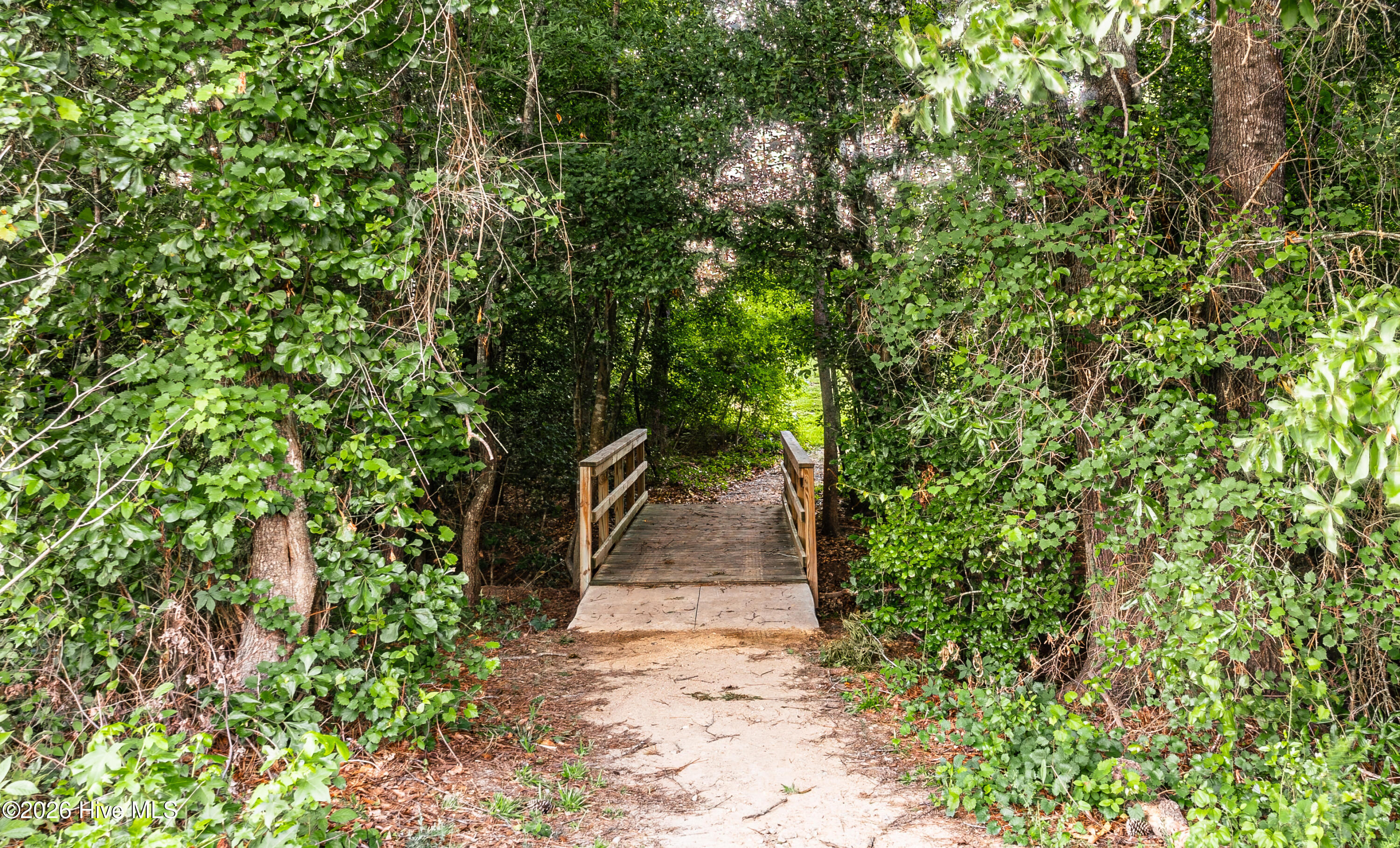 3208 Alexandria Drive