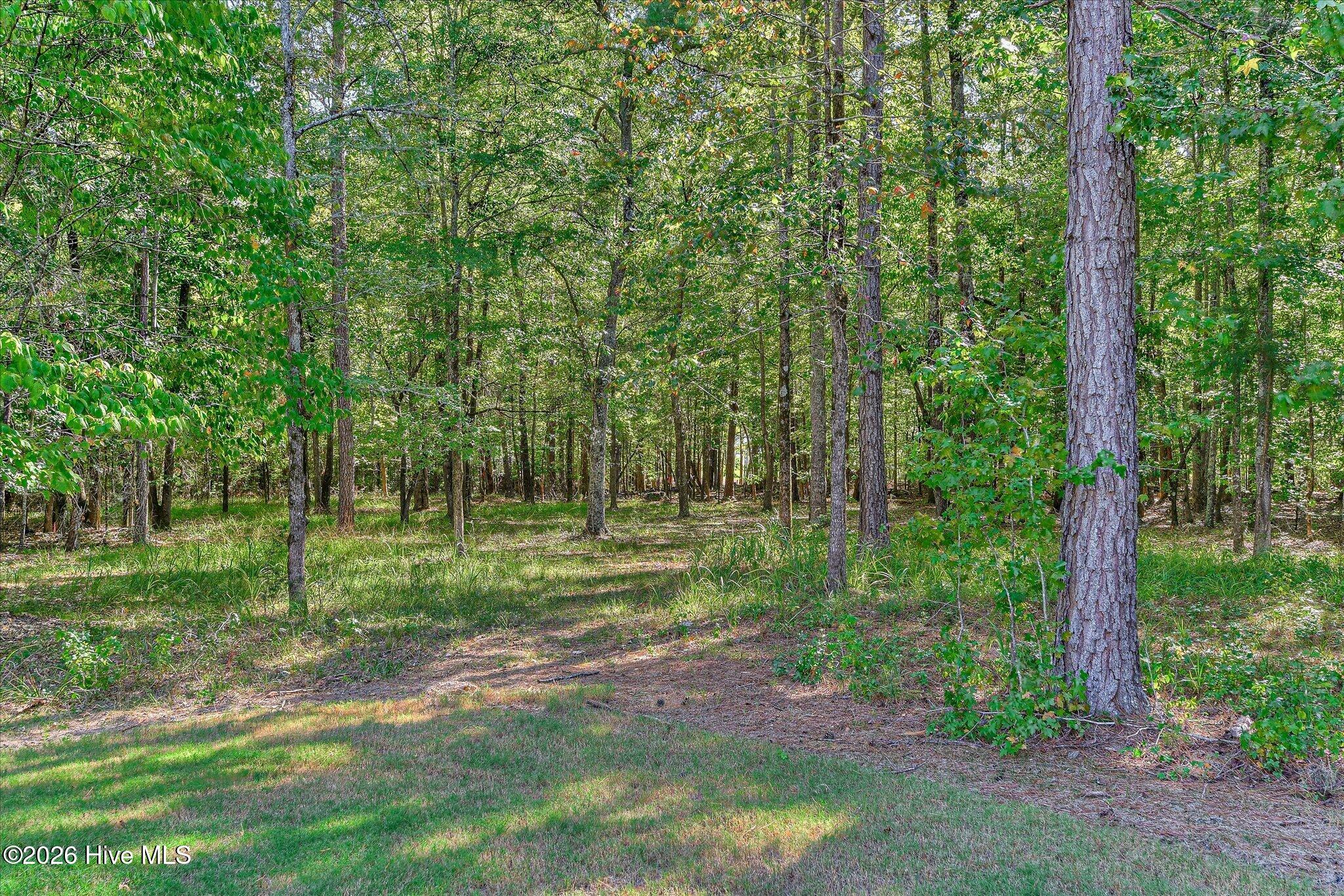 1021 S Pointe Court