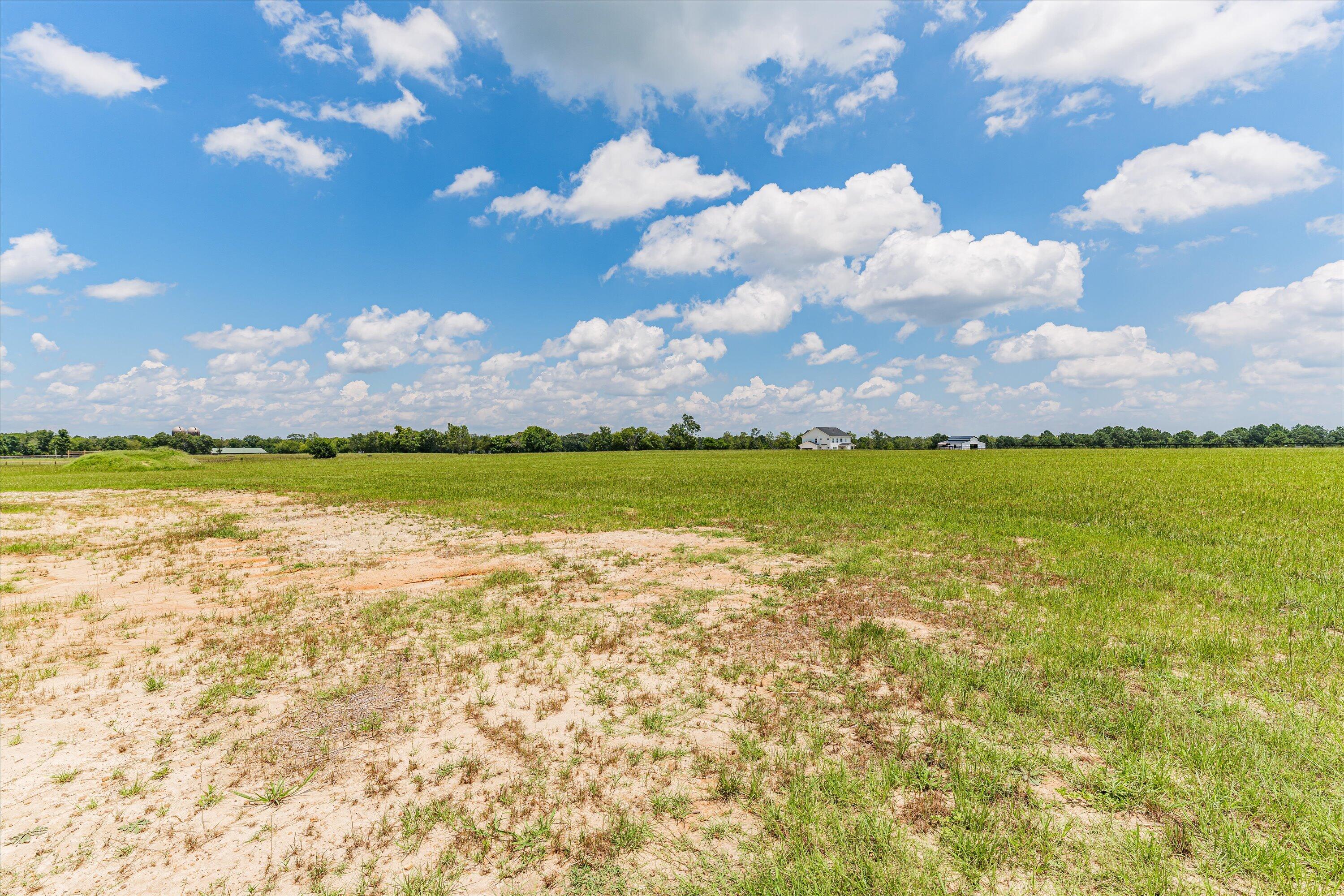 165 Cowdry Park Road