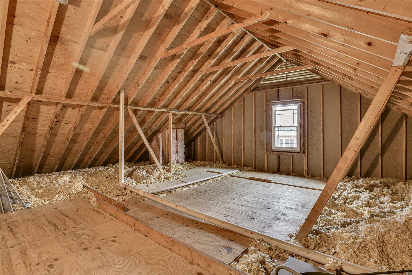 113 Pine Needle Road