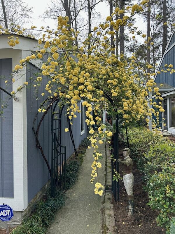 455 FOREST HILLS Drive