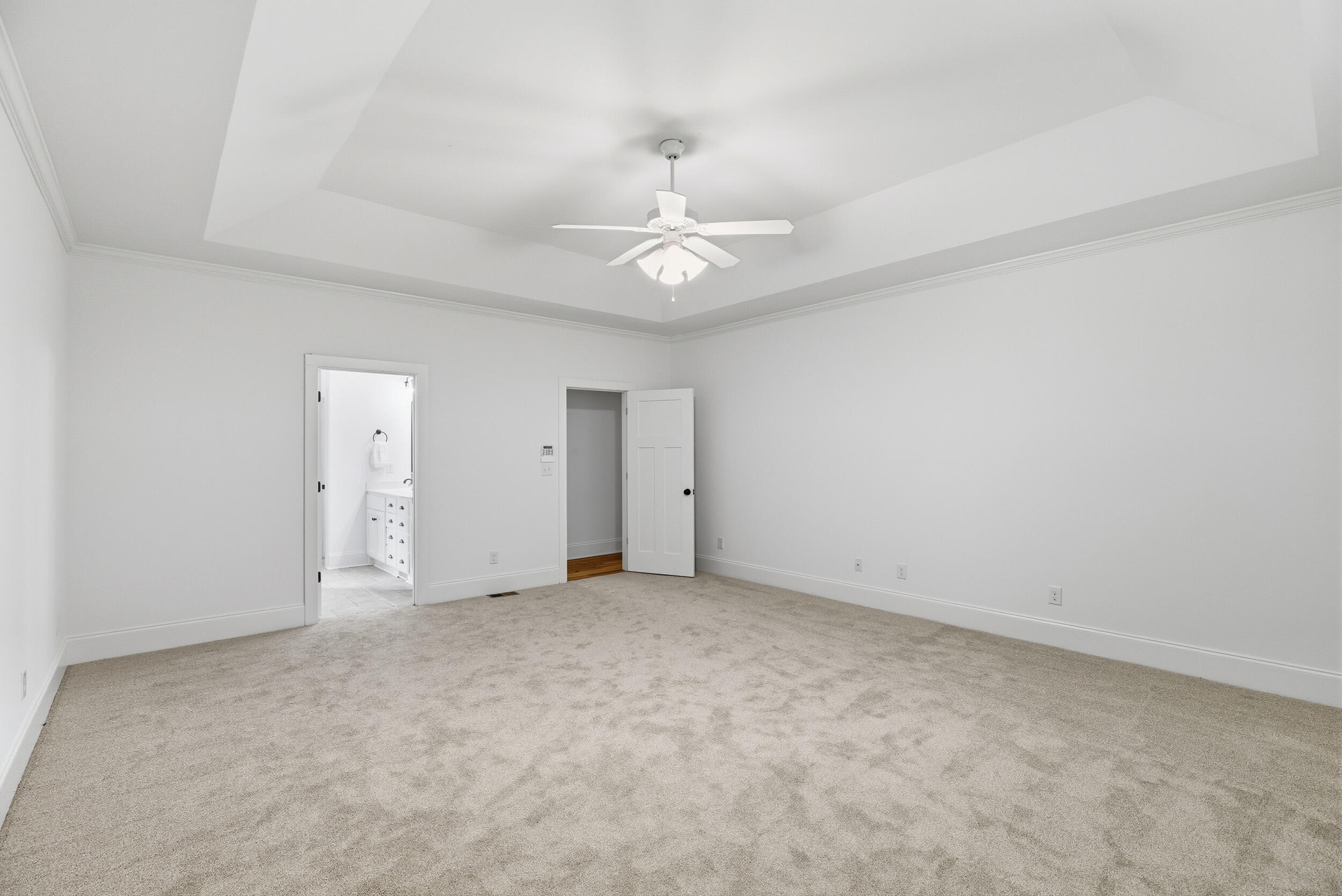 3808 Blue Springs Trace