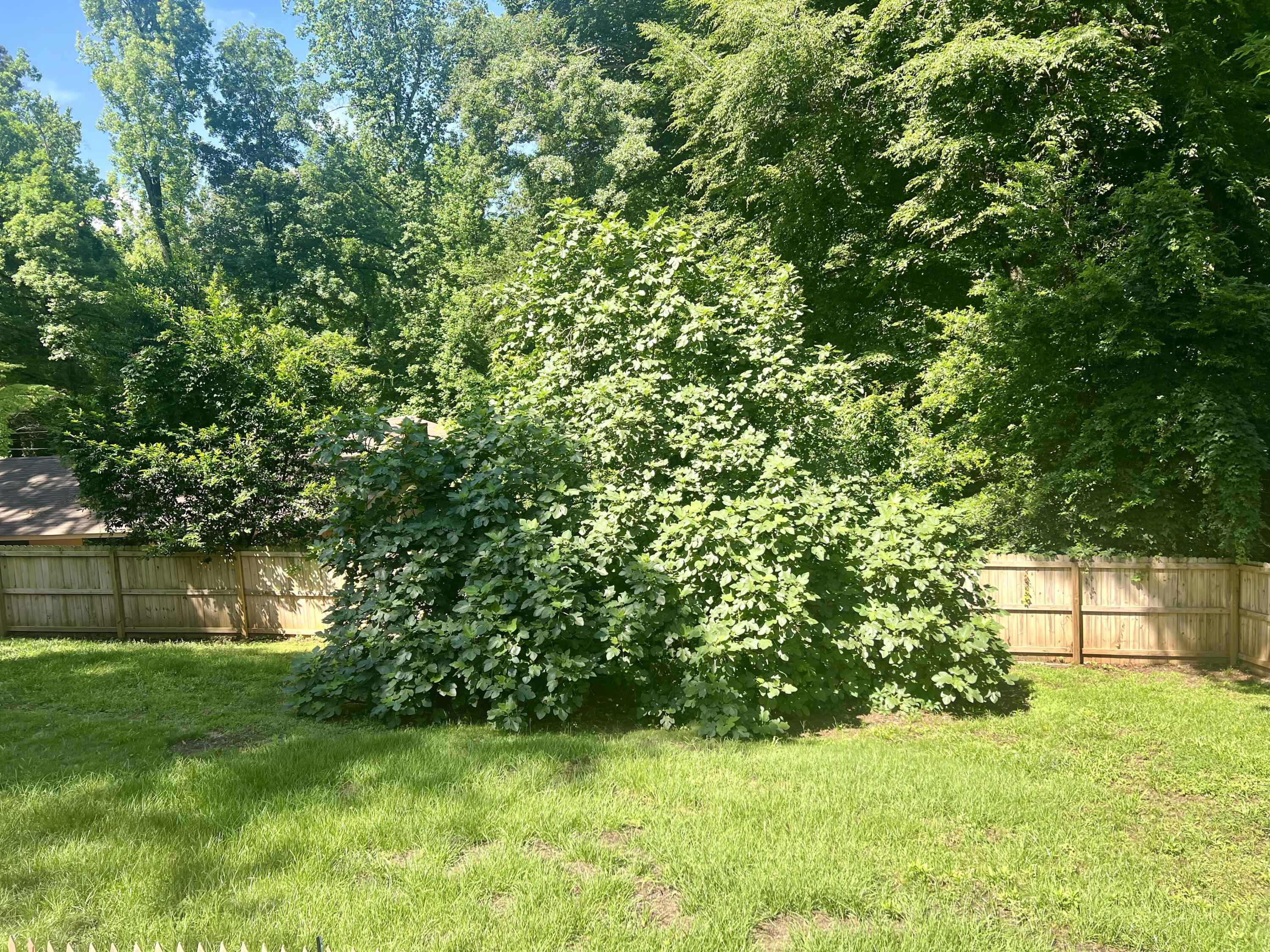 804 Hastings Place