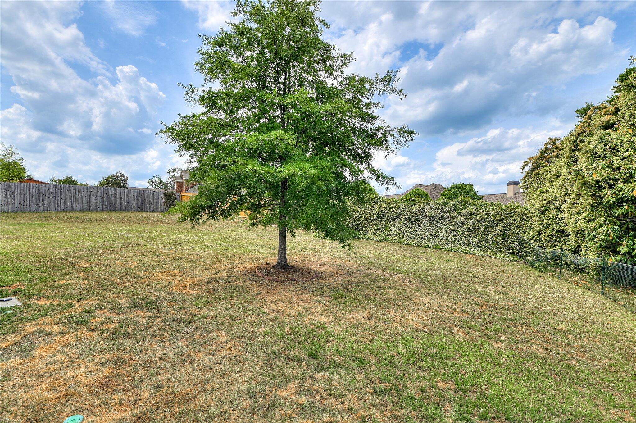 441 Vaughn Road
