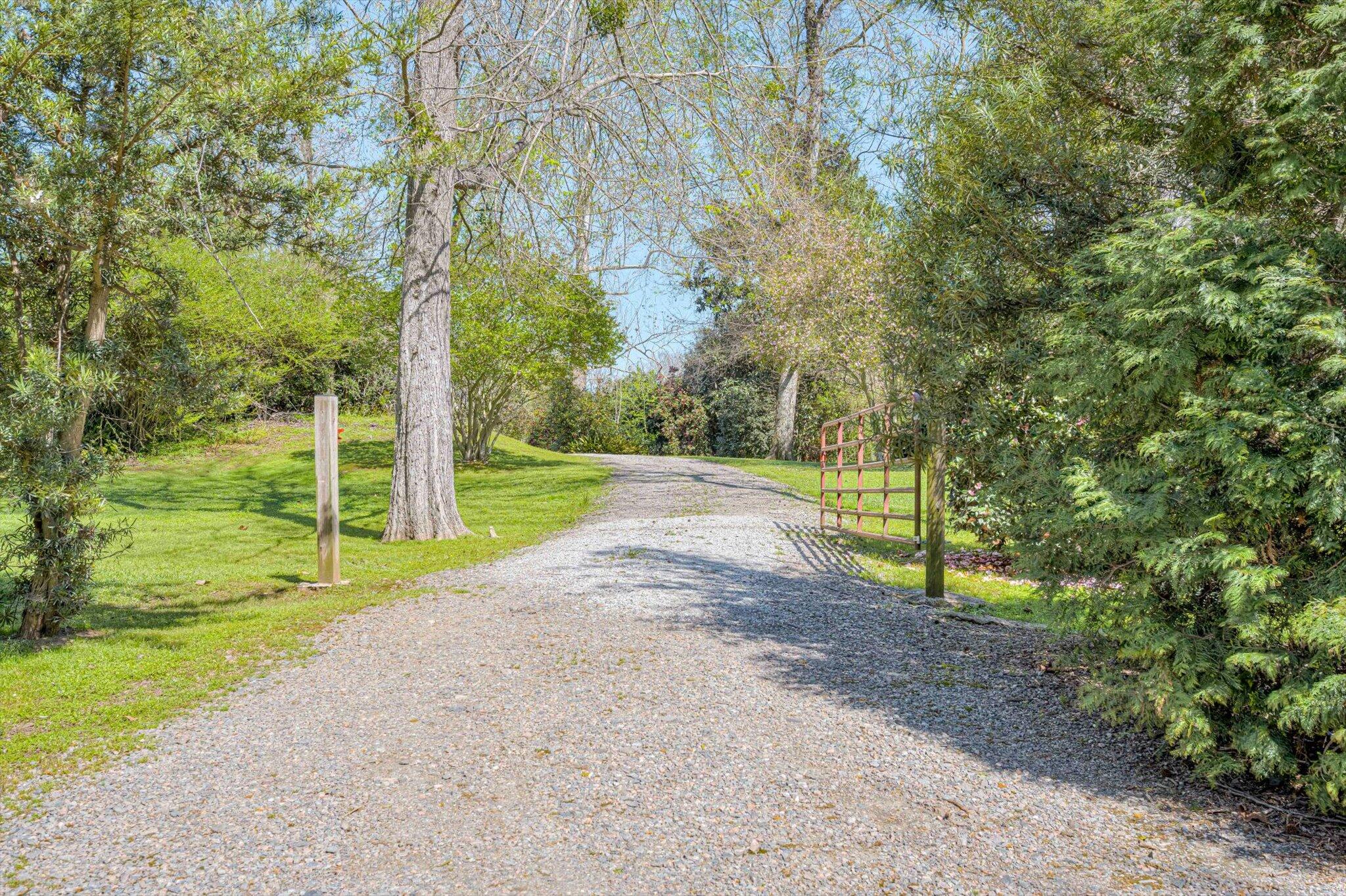 55 Alberclauss Drive