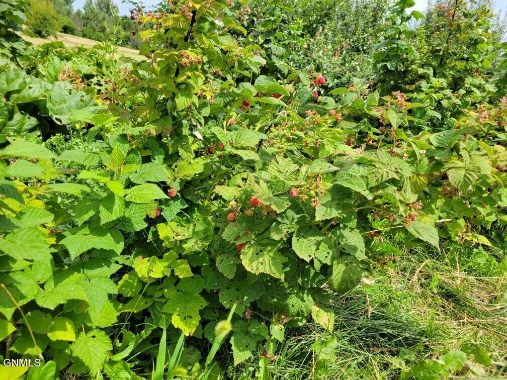 4965 140th Avenue NW