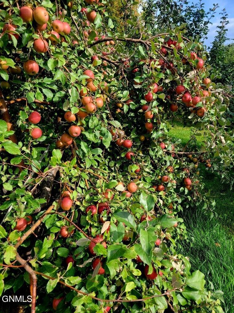 4965 140th Avenue NW