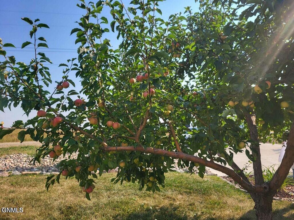 14044 48th Street NW