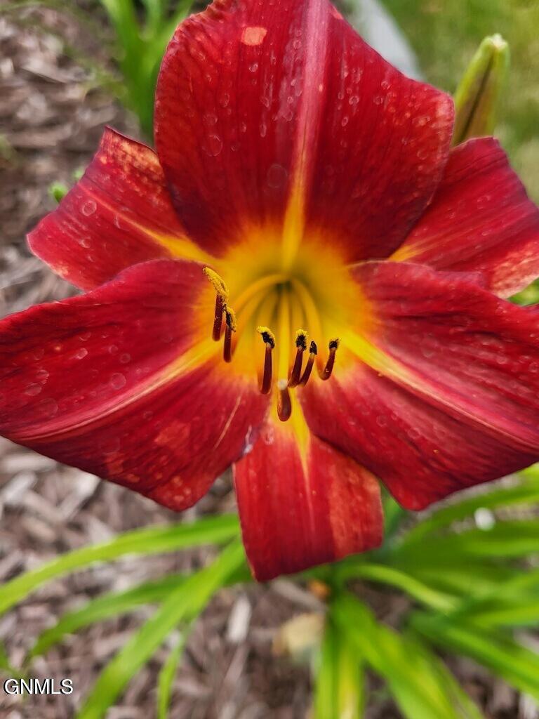 14044 48th Street NW