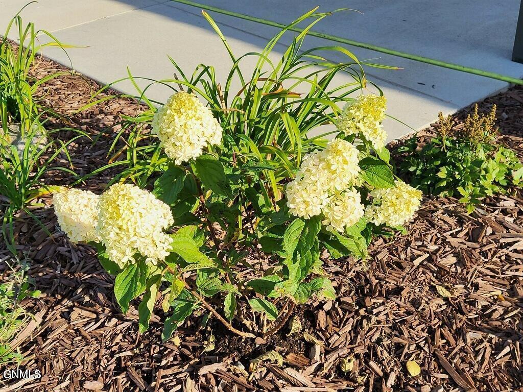 14044 48th Street NW