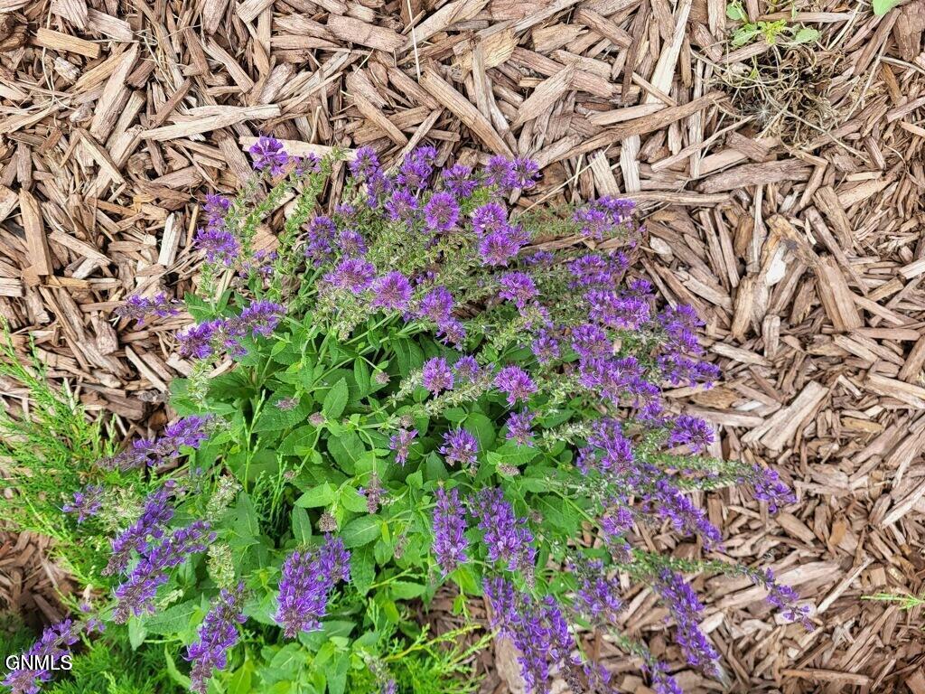 14044 48th Street NW