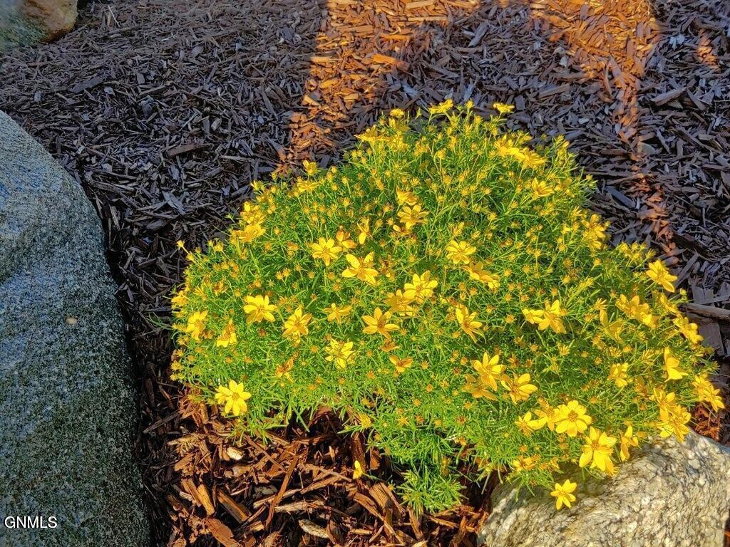 14044 48th Street NW