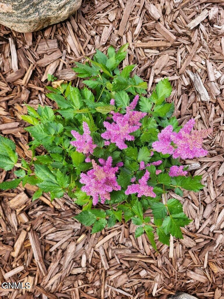 14044 48th Street NW