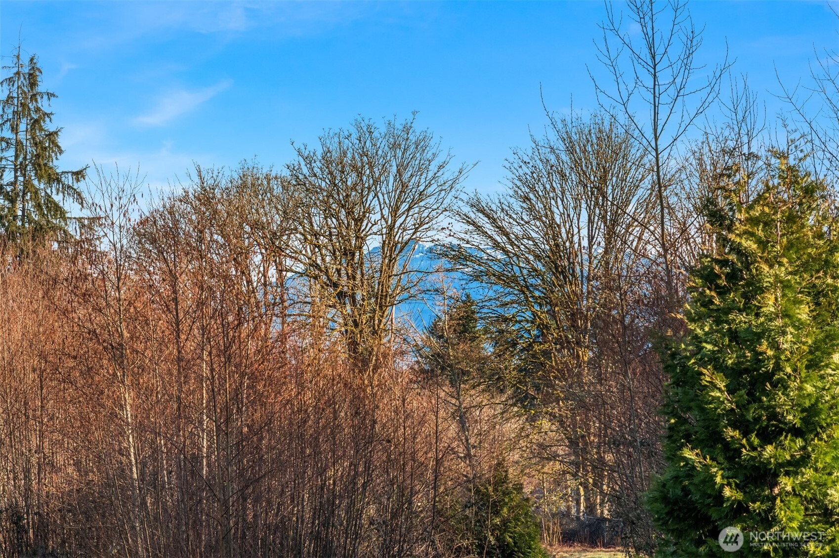 15726 220th Street SE