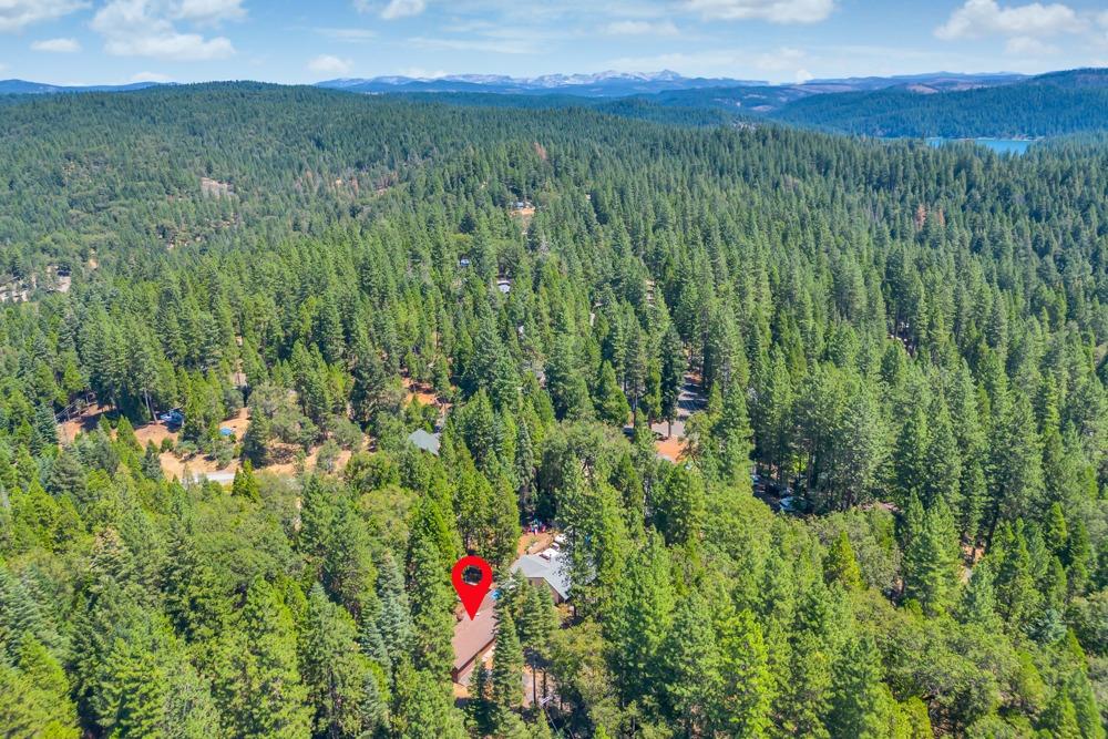 6075 Dolly Varden Lane