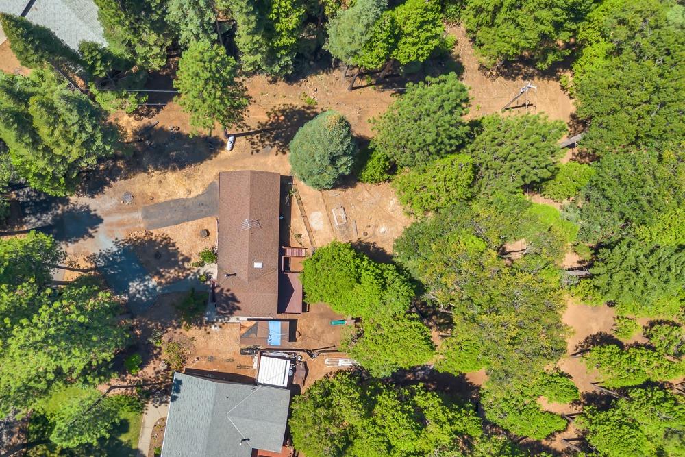 6075 Dolly Varden Lane