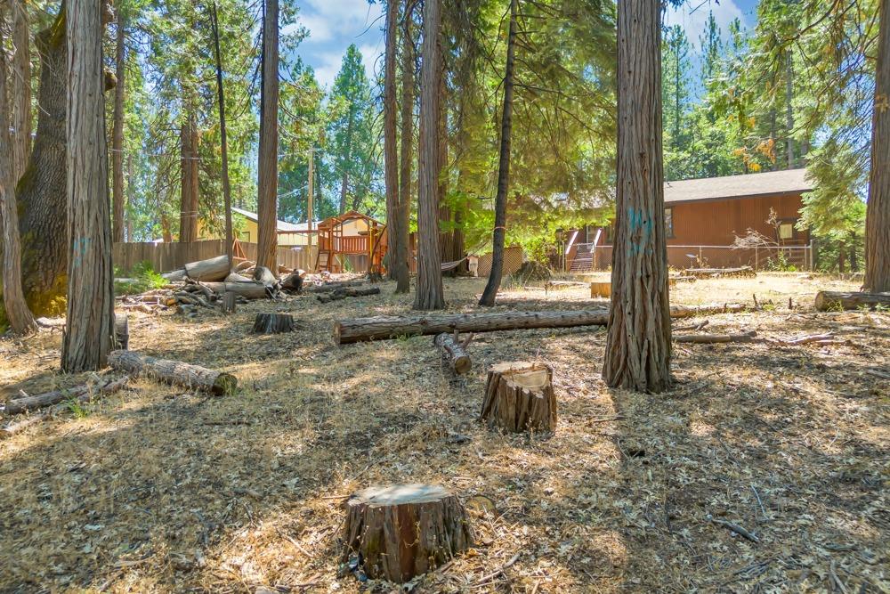 6075 Dolly Varden Lane