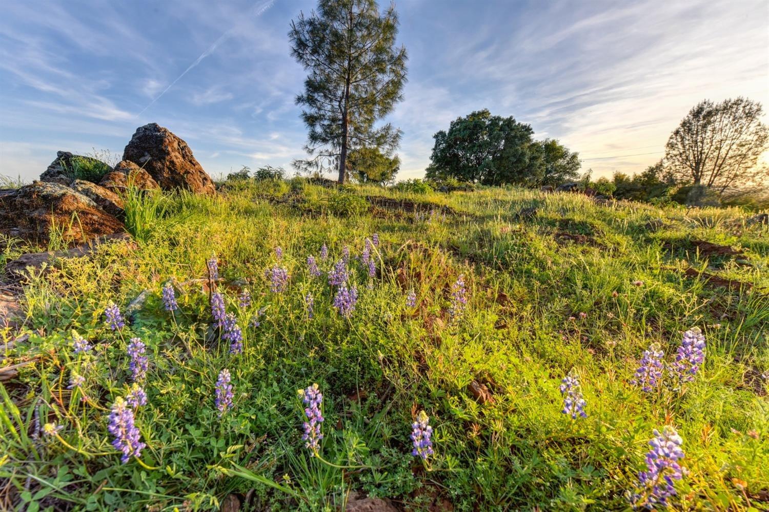 2321 Greensboro Road