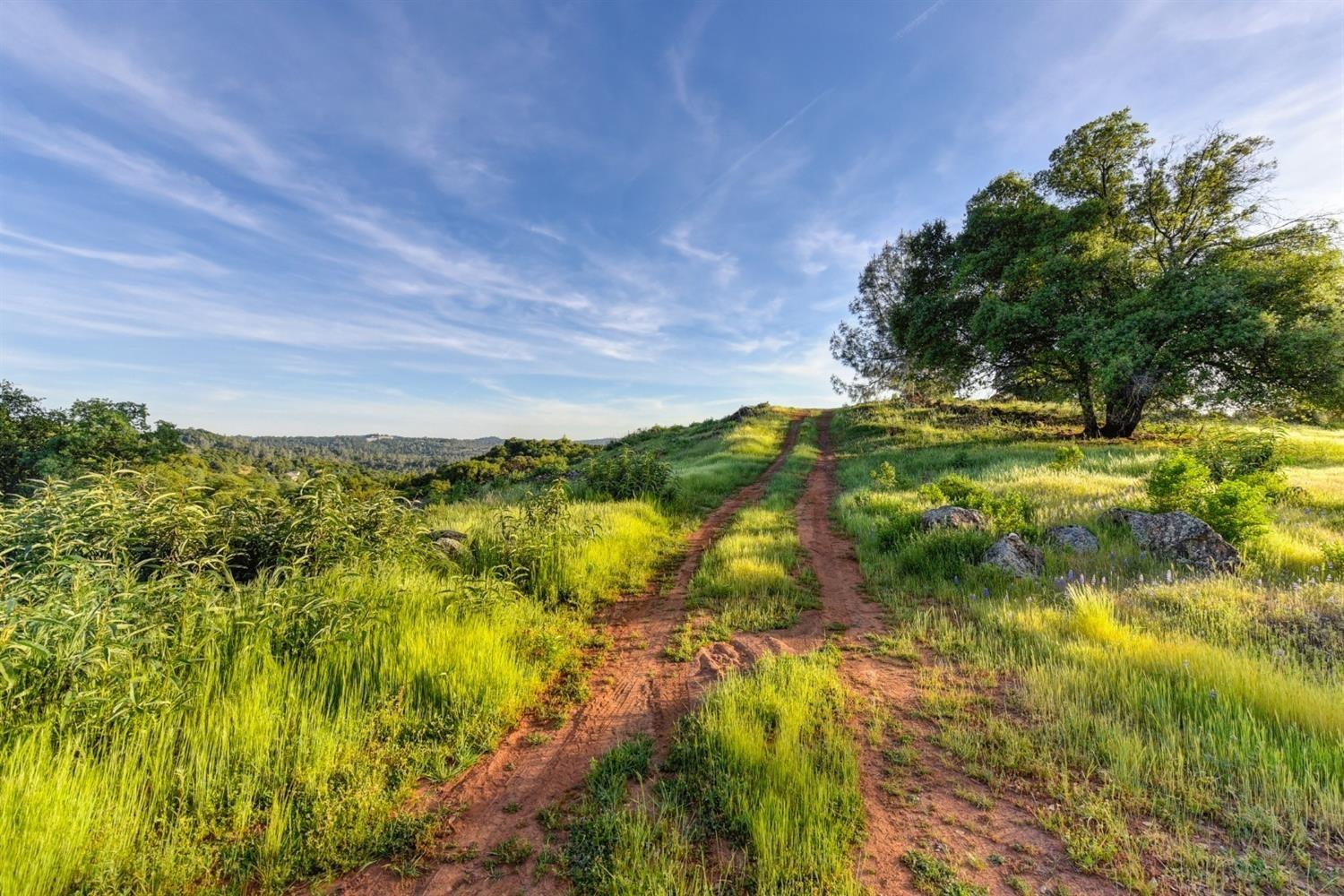 2321 Greensboro Road