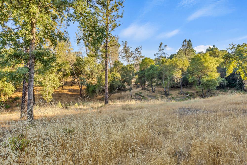 2660 Sleepy Hollow Drive