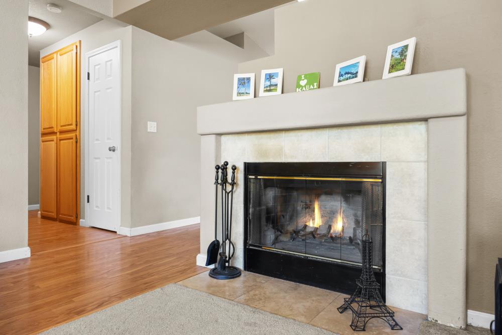 3364 Tea Rose Drive