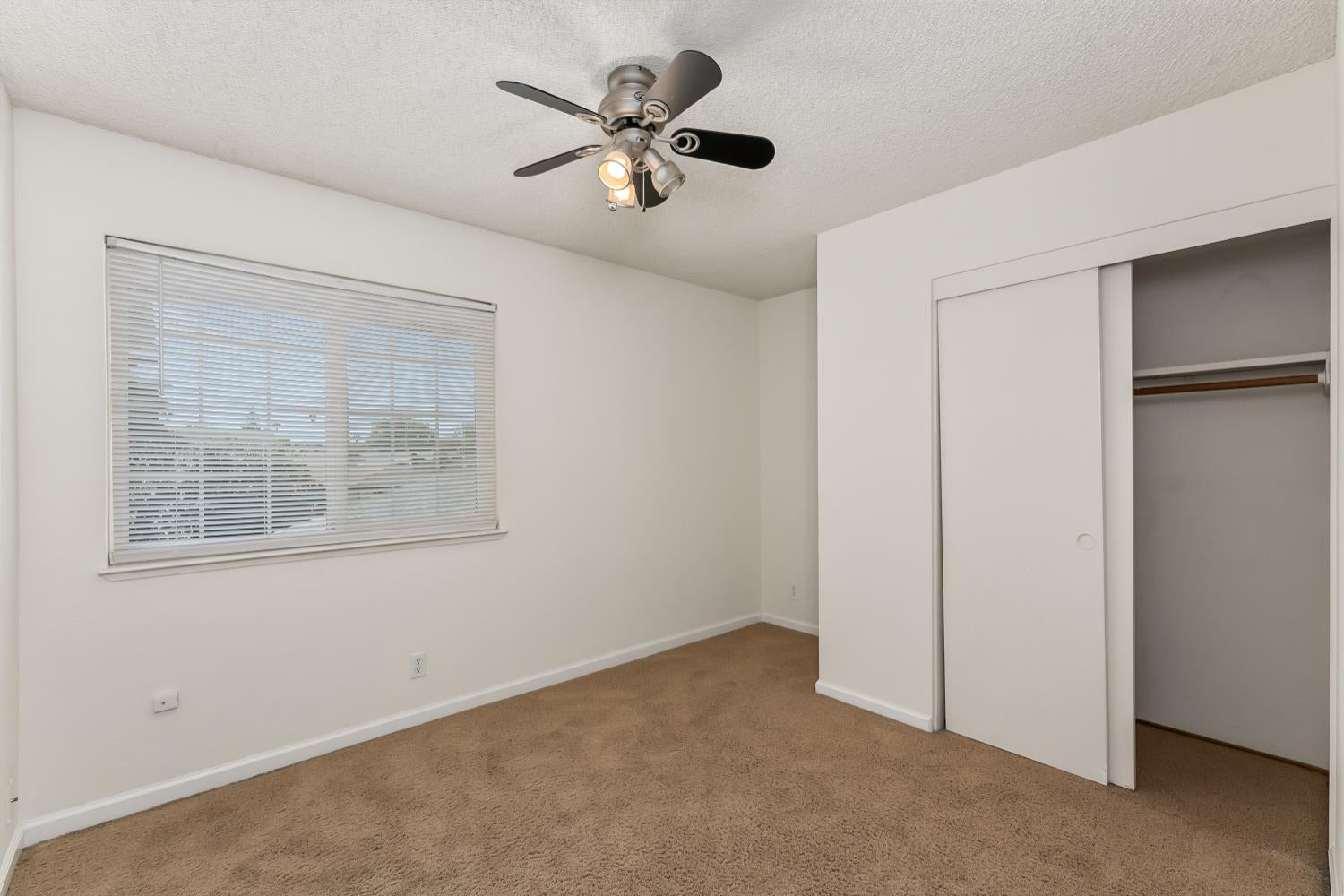 1293 Nadene Drive