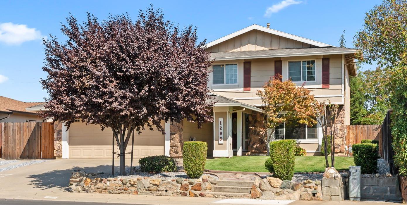 1293 Nadene Drive