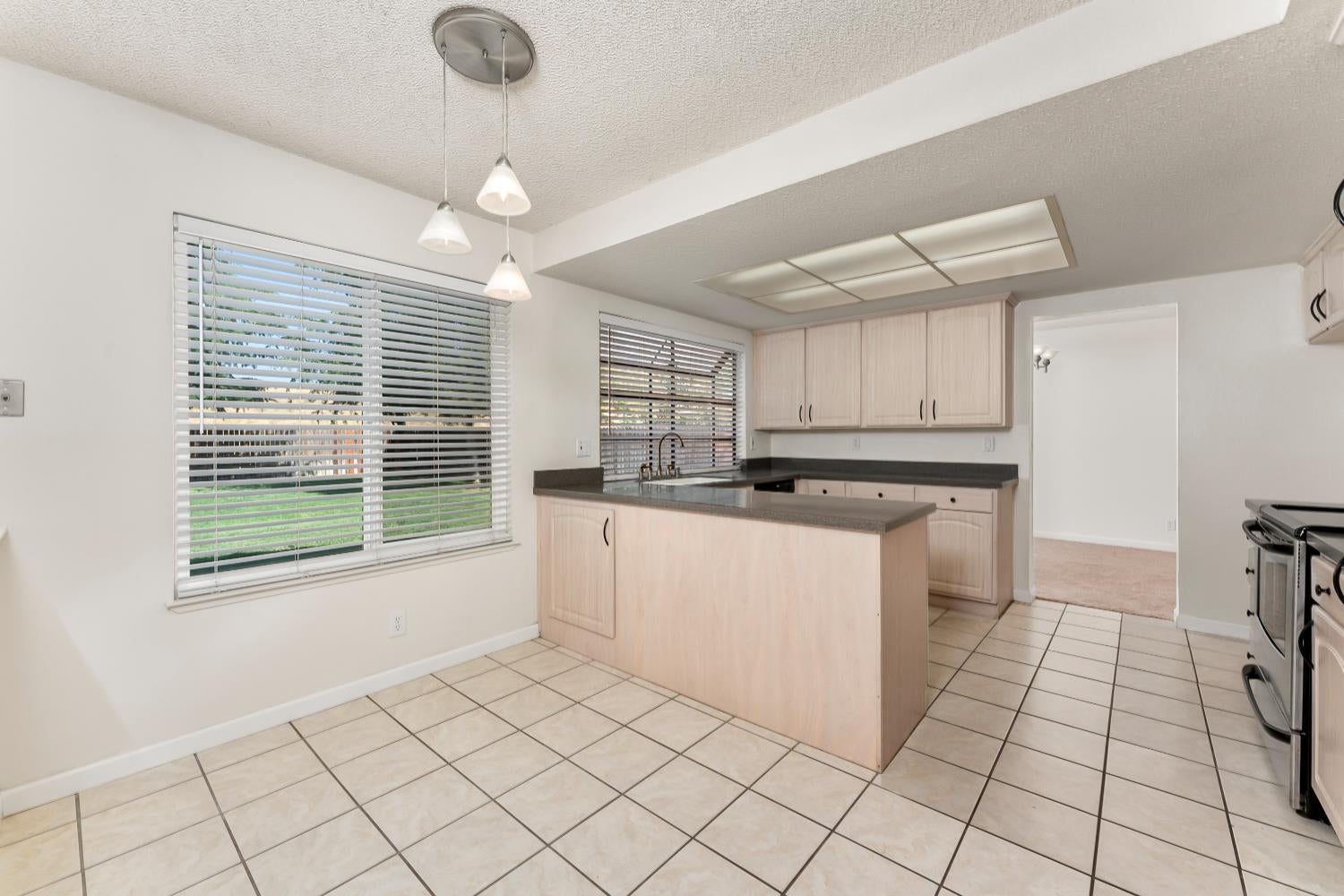 1293 Nadene Drive