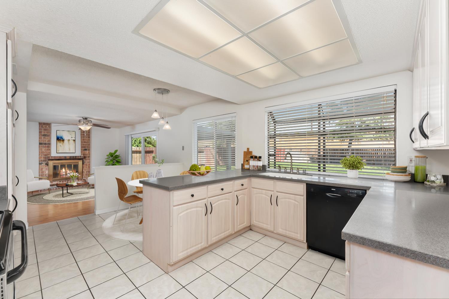 1293 Nadene Drive